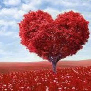 Meet your Posher, Airlene